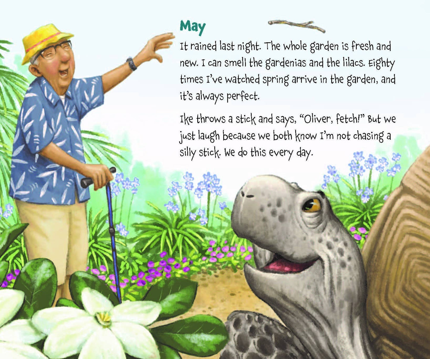 Memoirs of a Tortoise