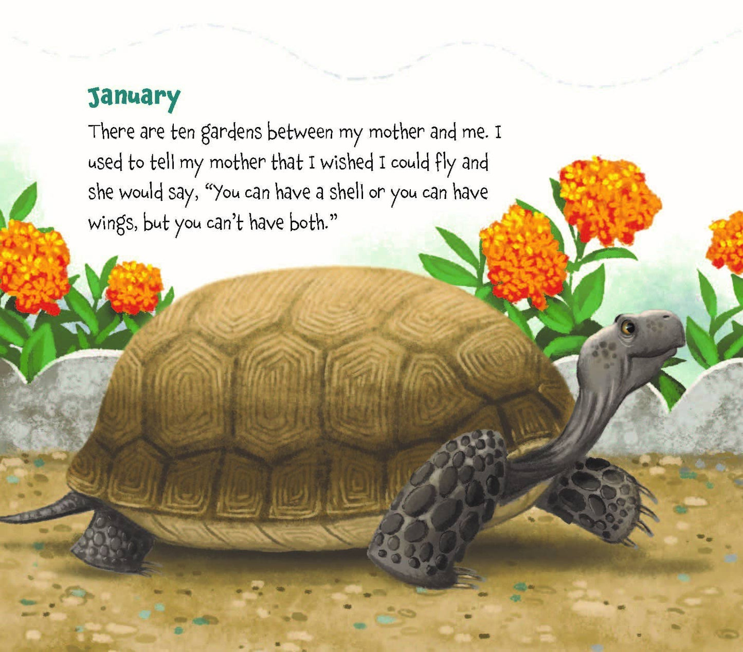 Memoirs of a Tortoise