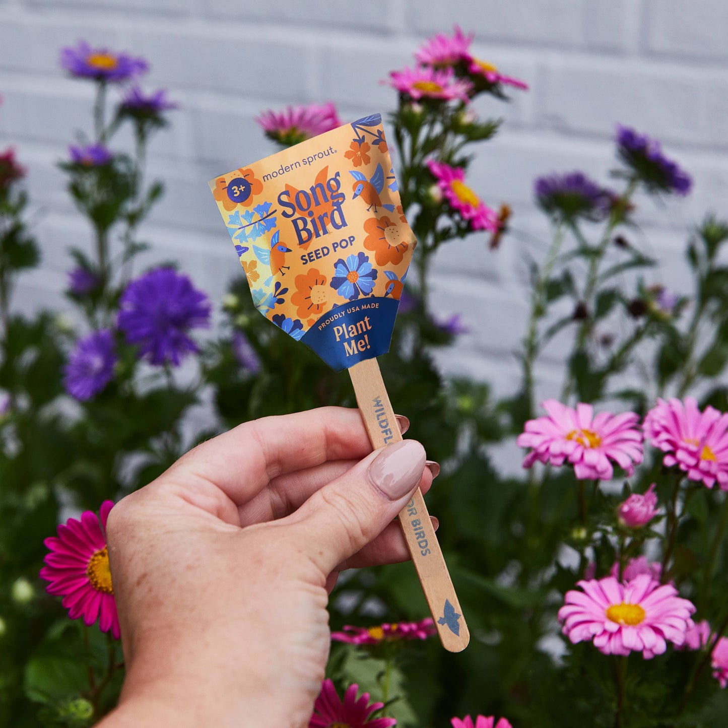 Modern Sprout - Pollinator Seed Pops