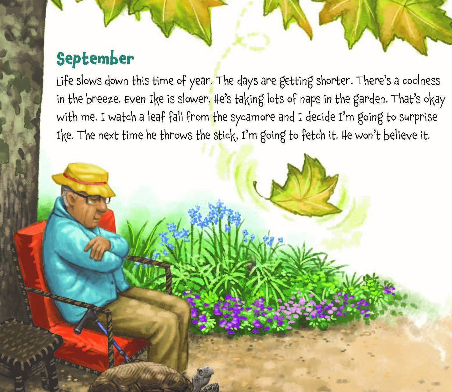 Memoirs of a Tortoise