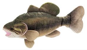 22" Bass