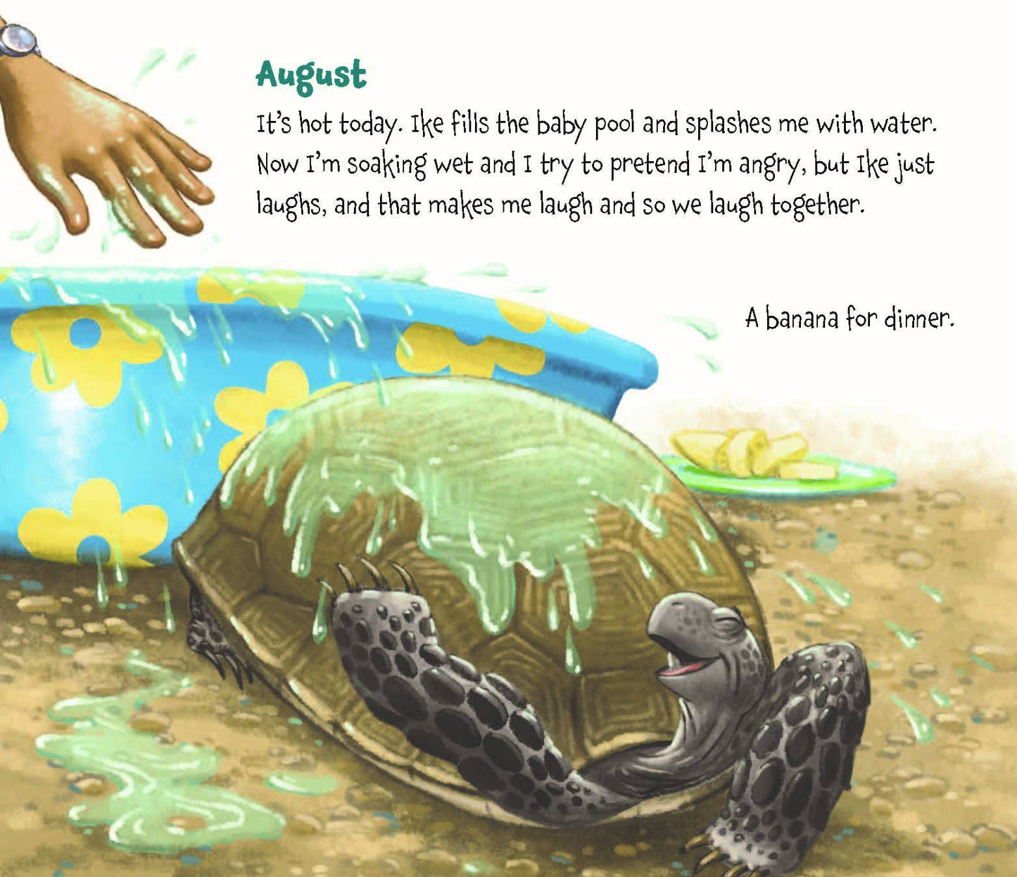 Memoirs of a Tortoise