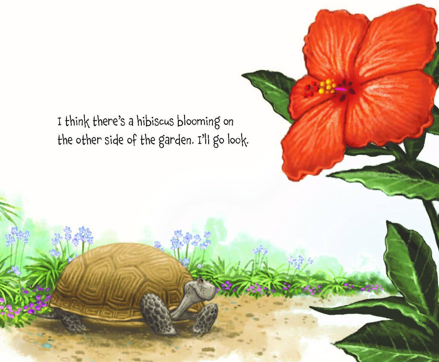 Memoirs of a Tortoise