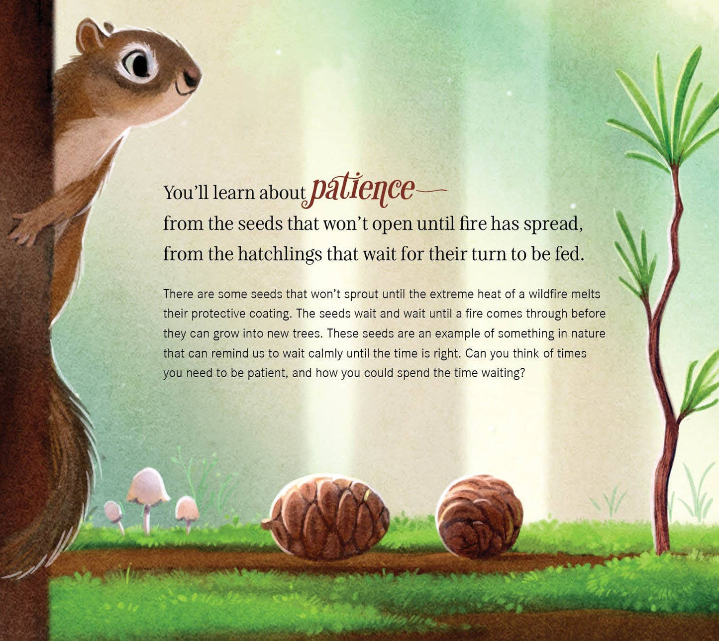 When You Go Into Nature: a family guide to mindfulness