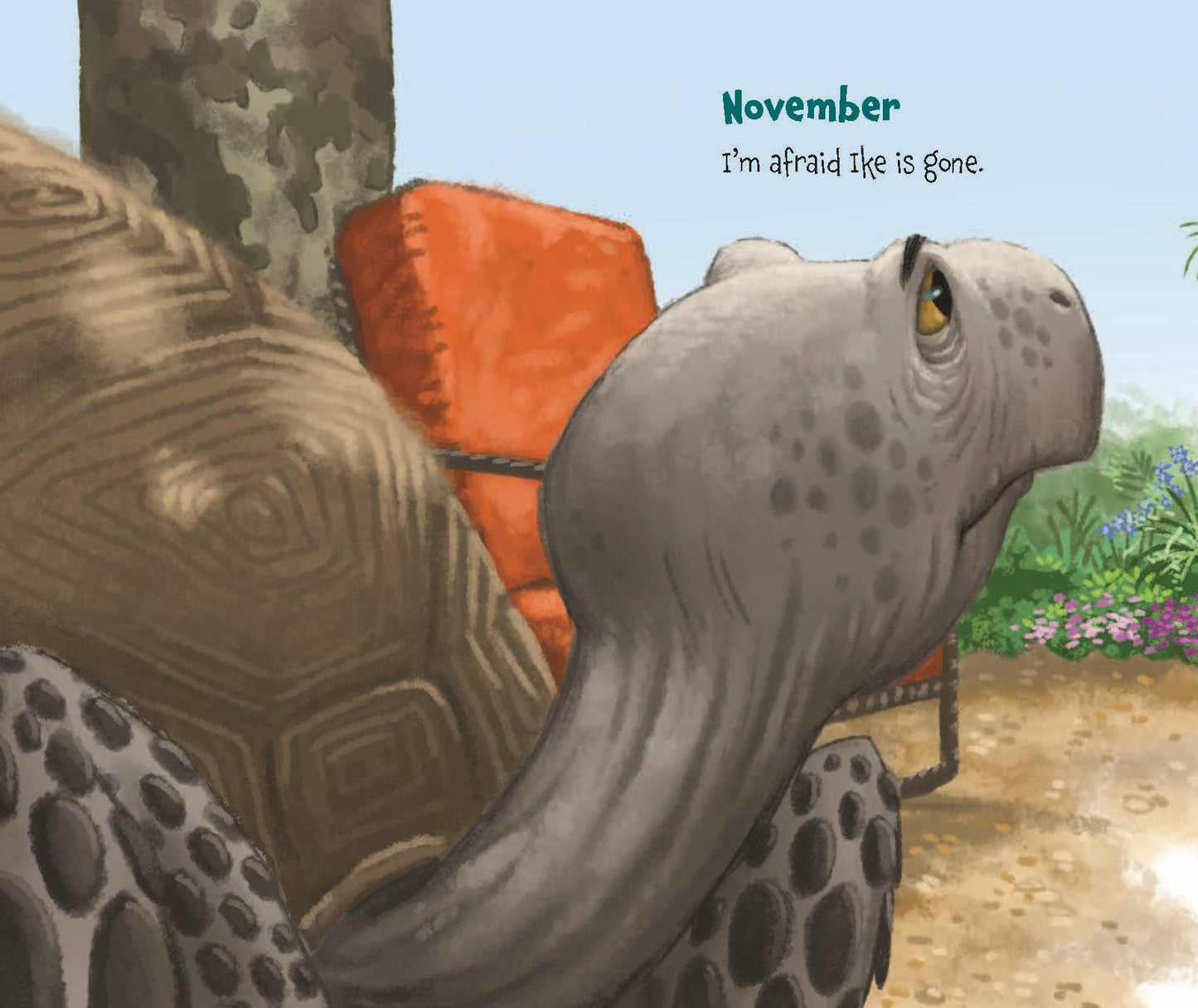Memoirs of a Tortoise