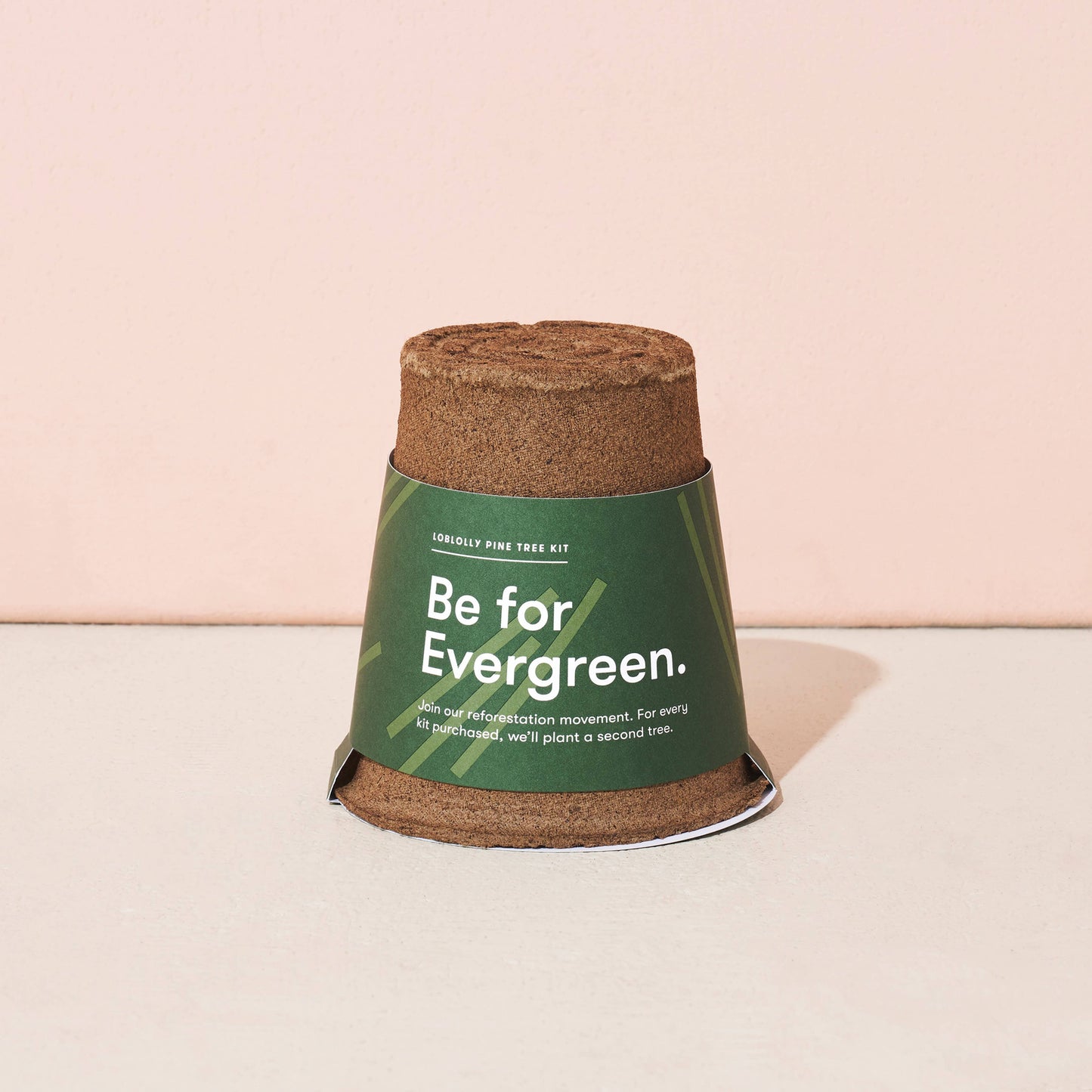 Modern Sprout - One-For One Tree Kit