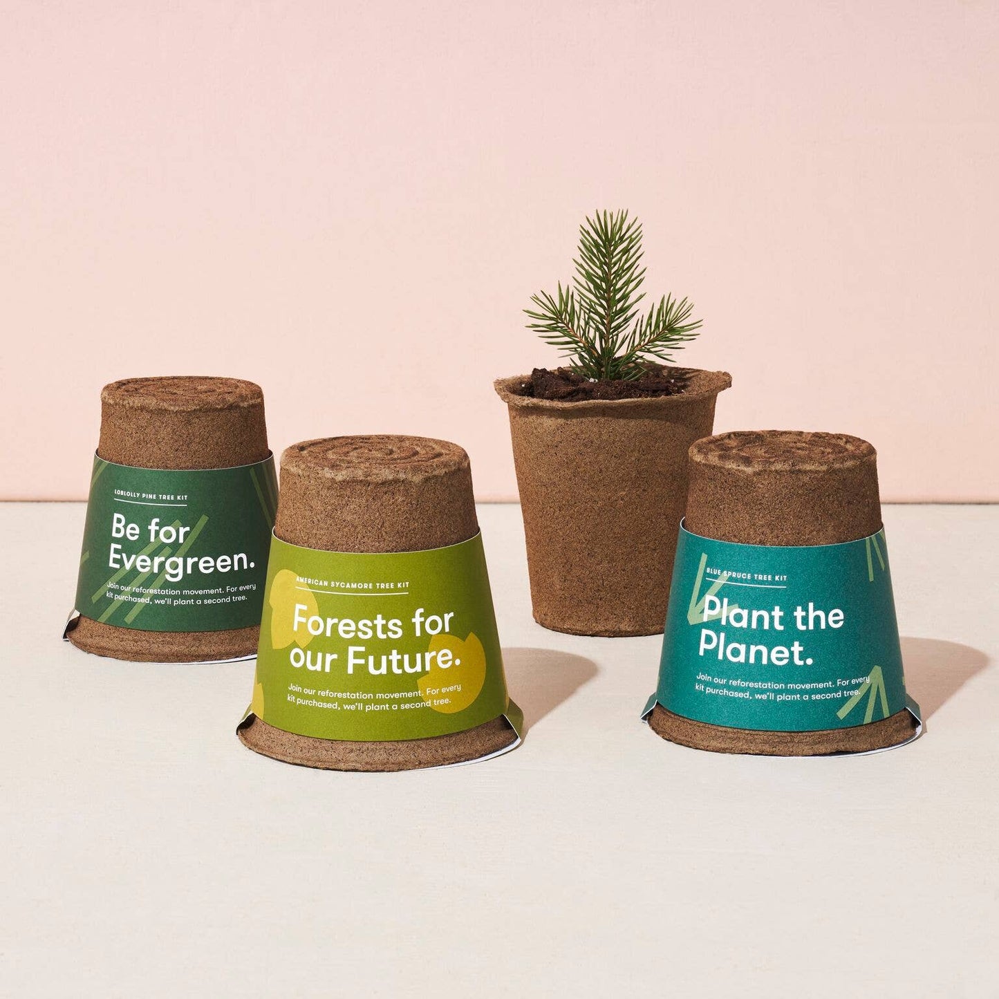 Modern Sprout - One-For One Tree Kit