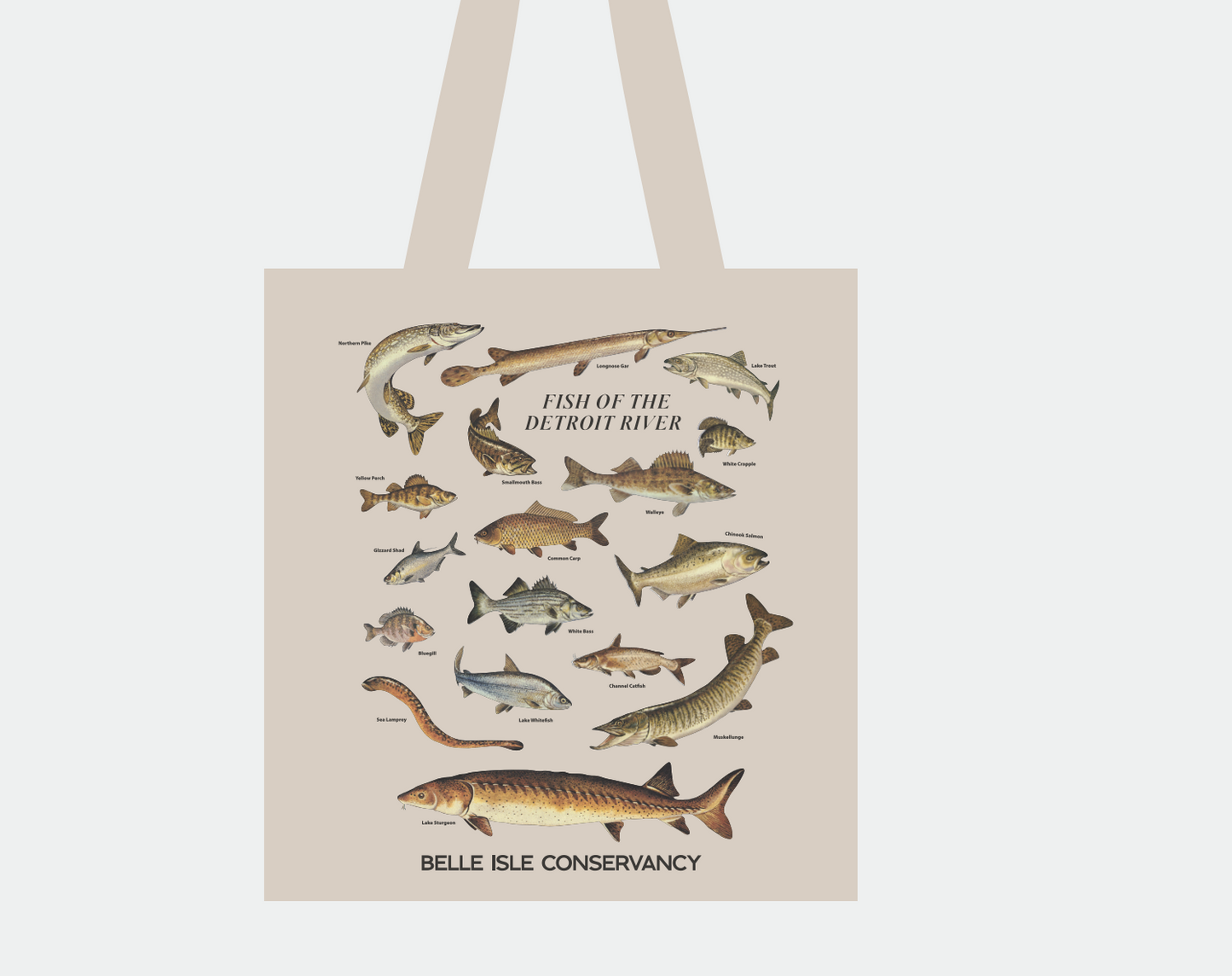 Fish of the Detroit River Tote Bag