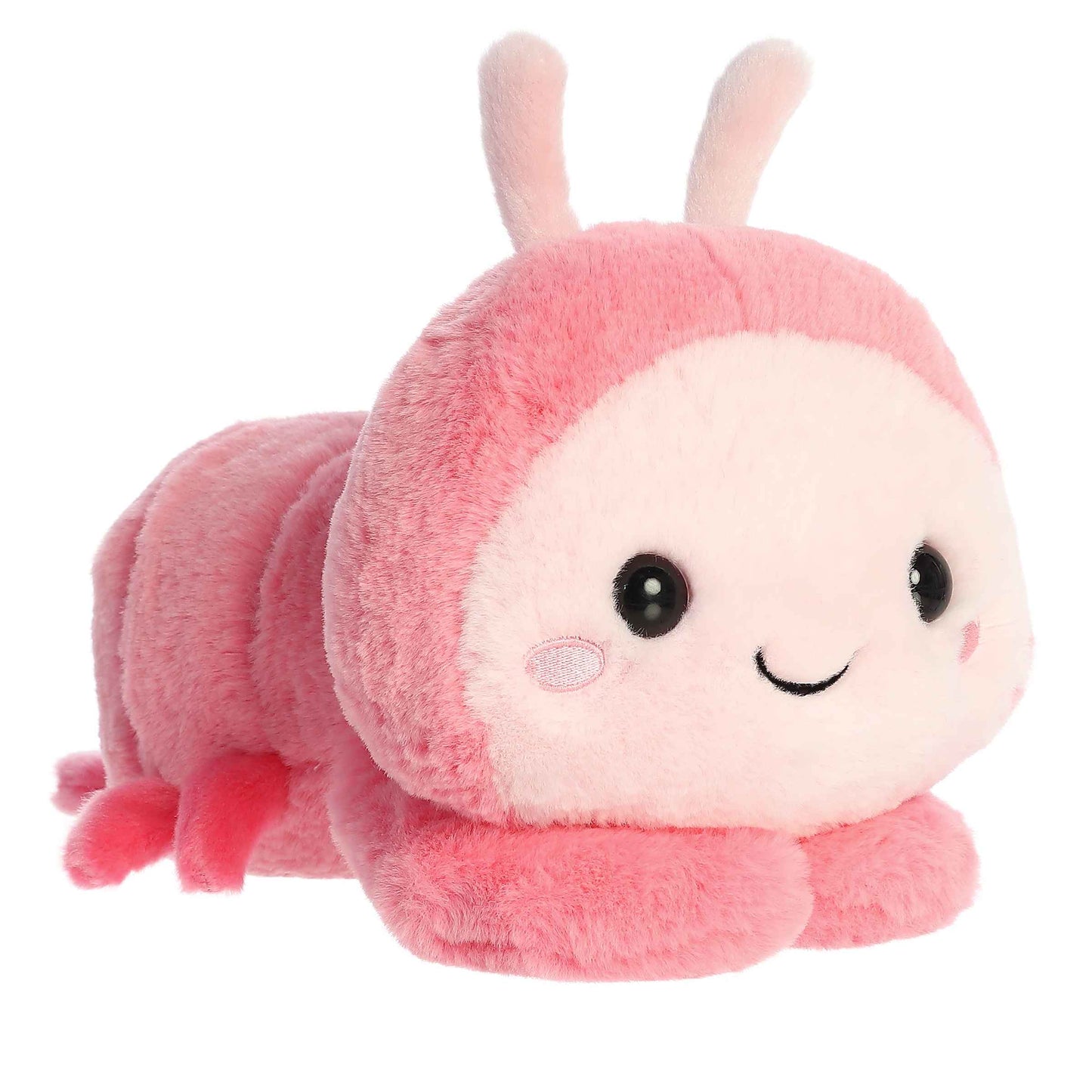 TOO CUTE - SHIMMI SHRIMP