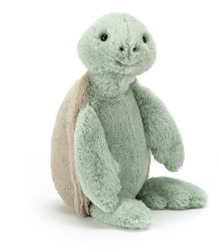 Bashful Turtle