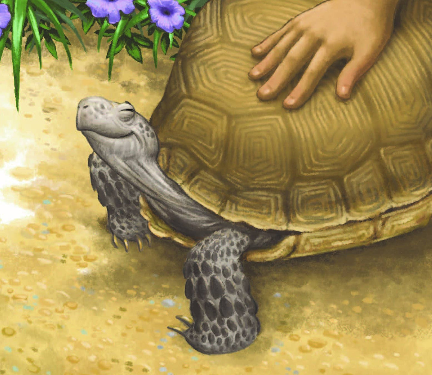 Memoirs of a Tortoise