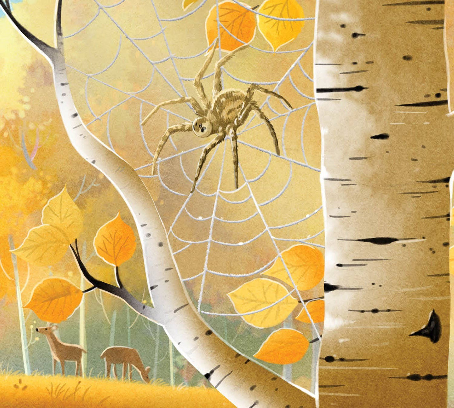 When You Go Into Nature: a family guide to mindfulness