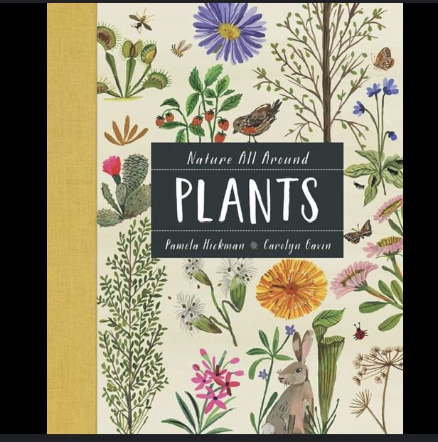 Nature All Around - Plants