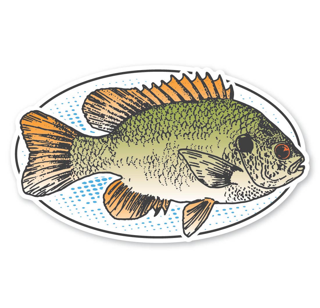 Magnet - Crappie Fish Oval 2: 5/16" Bamboo Wood Magnet