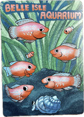 Piranha Magnet