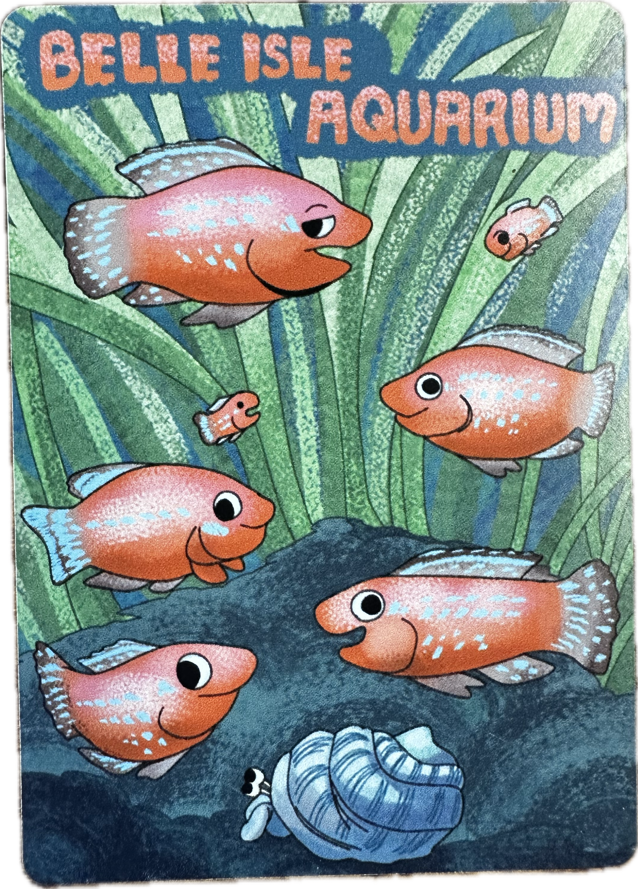 Piranha Magnet