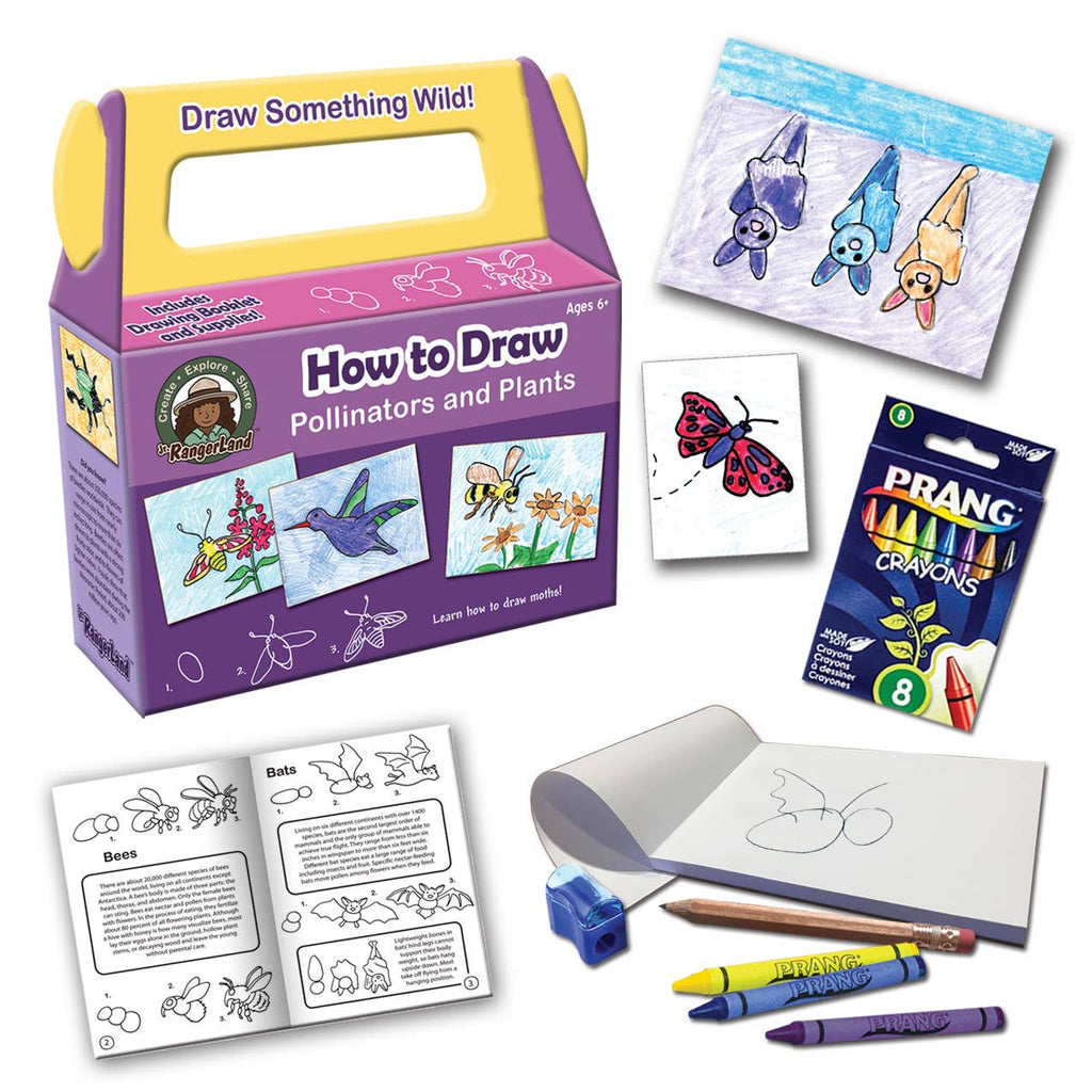 Jr. RangerLand - How to Draw Pollinators and Plants Art Kit