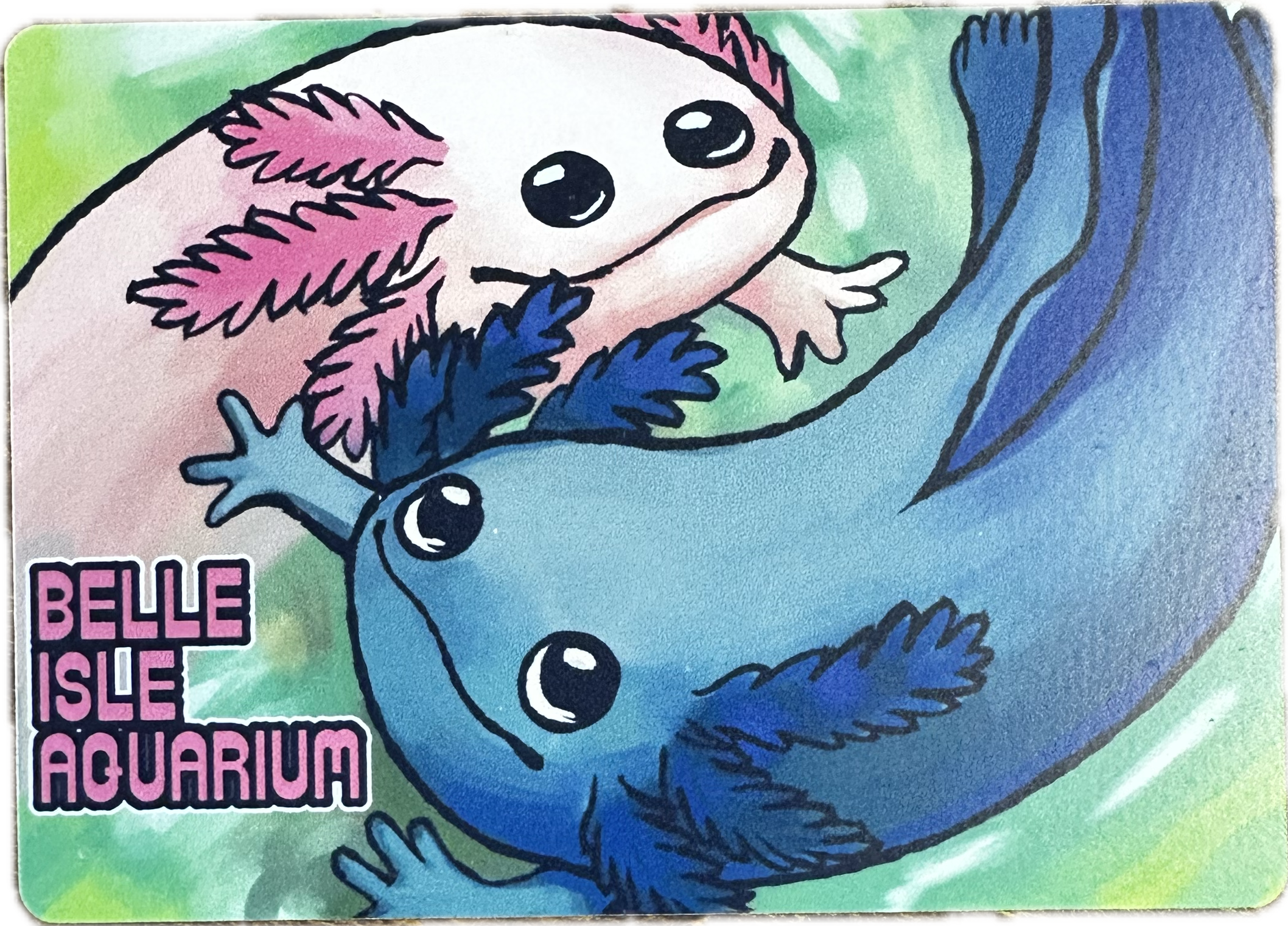 Duo Axolotl Magnet