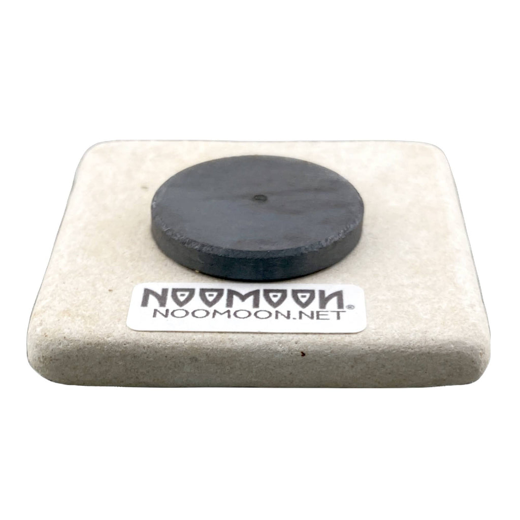 Spirit of Detroit Statue Stone Magnet