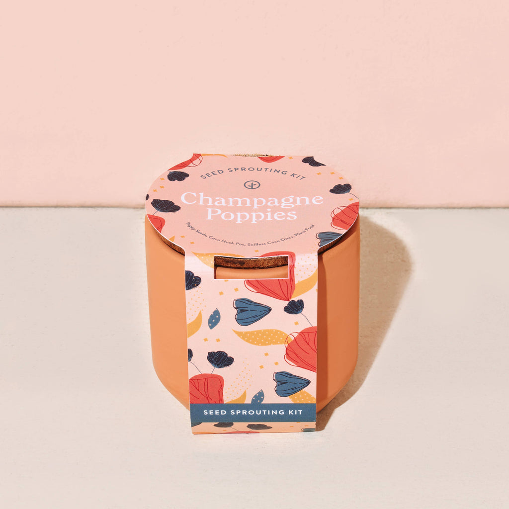 Tiny Terracotta Grow Kits