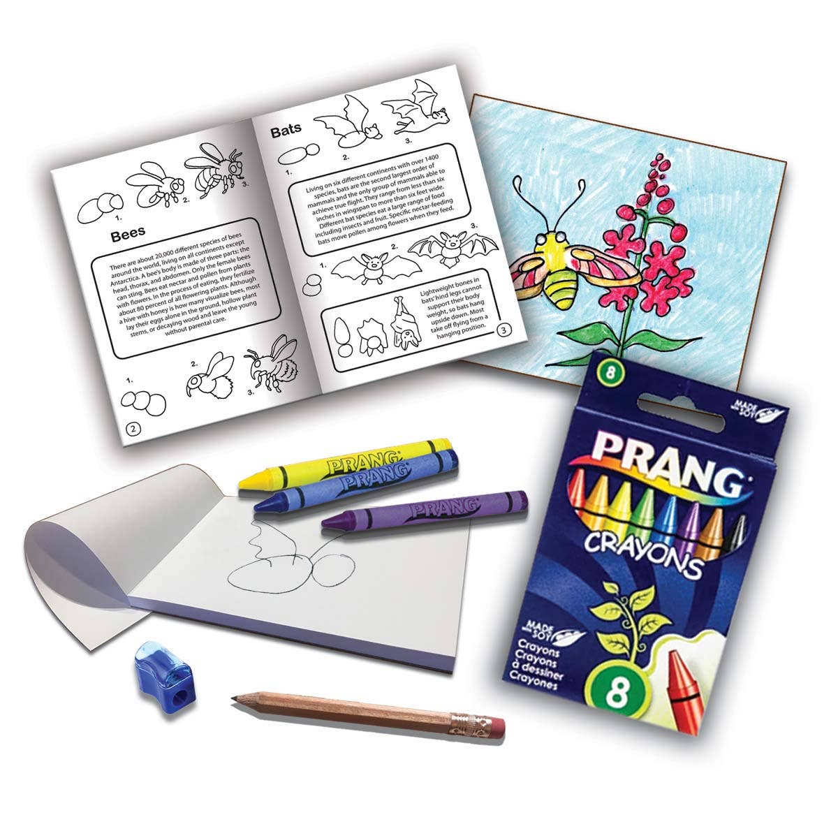 Jr. RangerLand - How to Draw Pollinators and Plants Art Kit