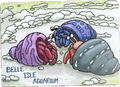 Hermit Crab Magnet