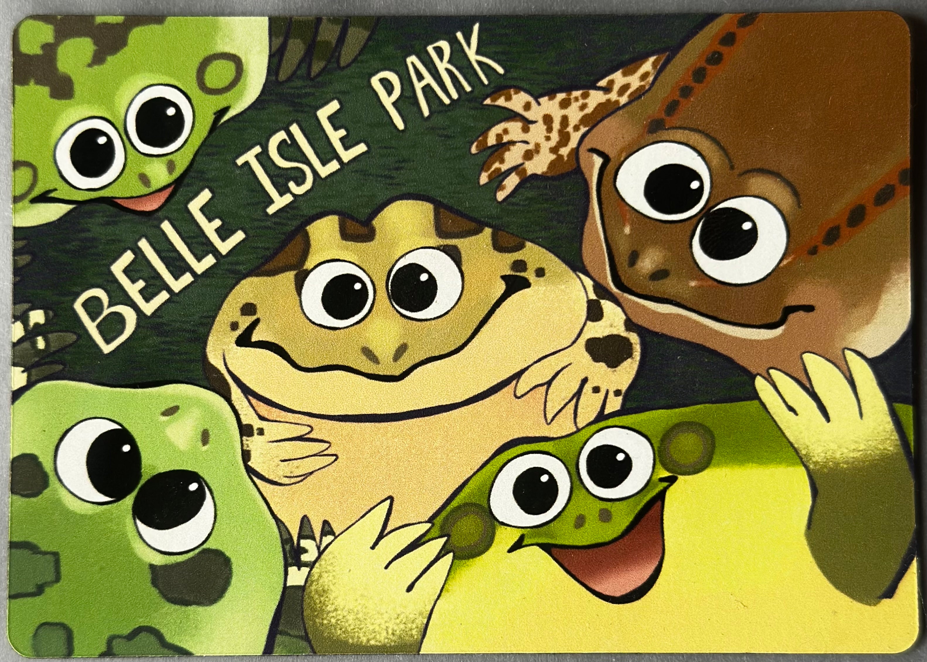 Frog Magnet