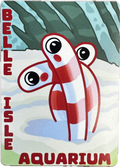 Garden Eel Magnet