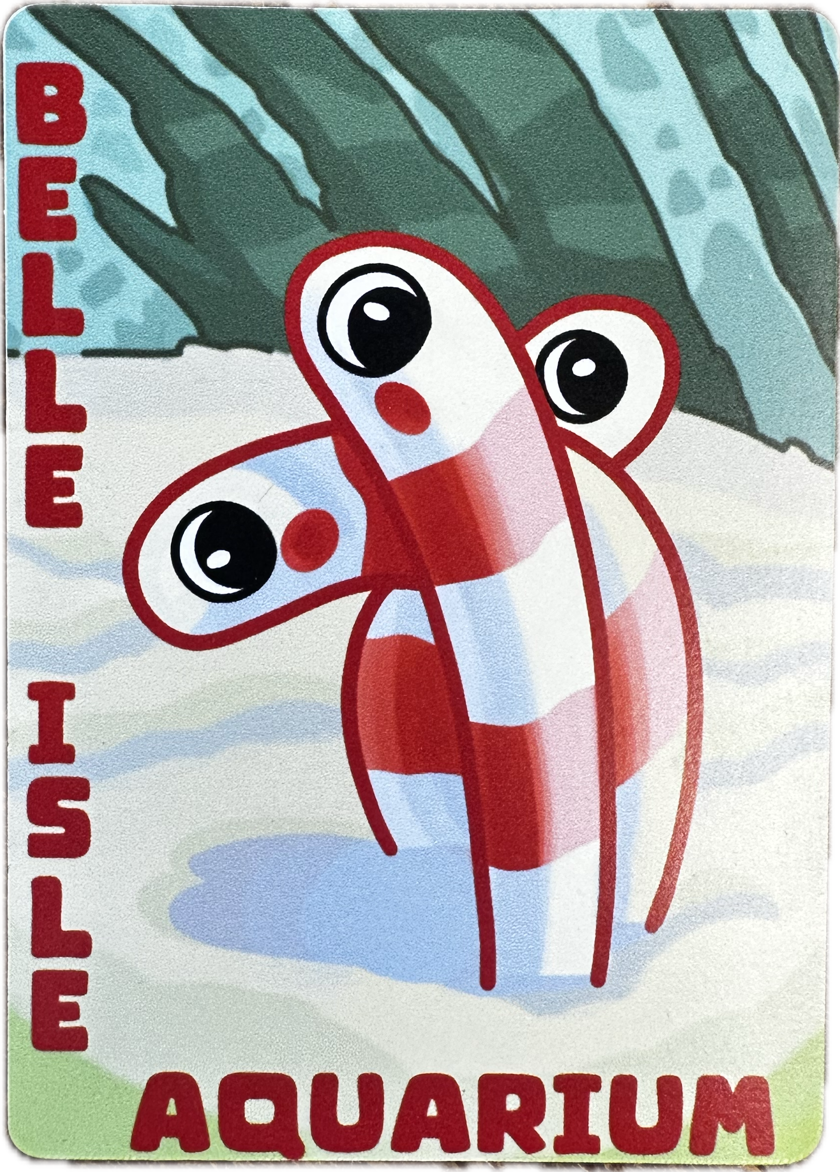 Garden Eel Magnet