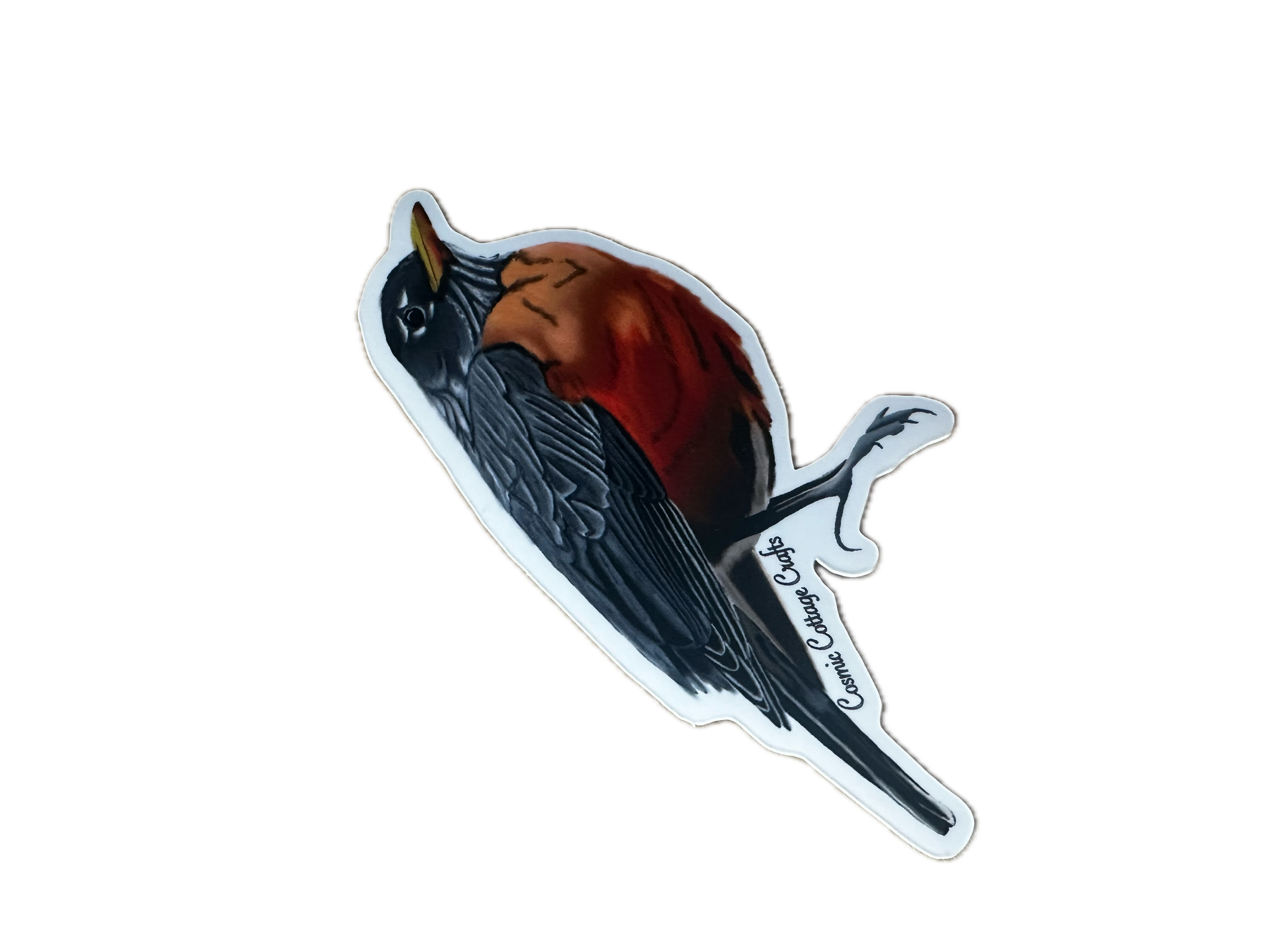 Robin Sticker