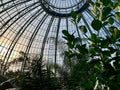 Inside ASWC Dome Postcard