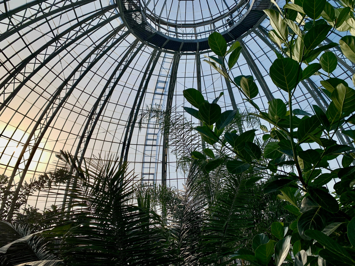 Inside ASWC Dome Postcard