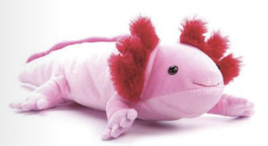 15" Wild Onez Pink Axolotl