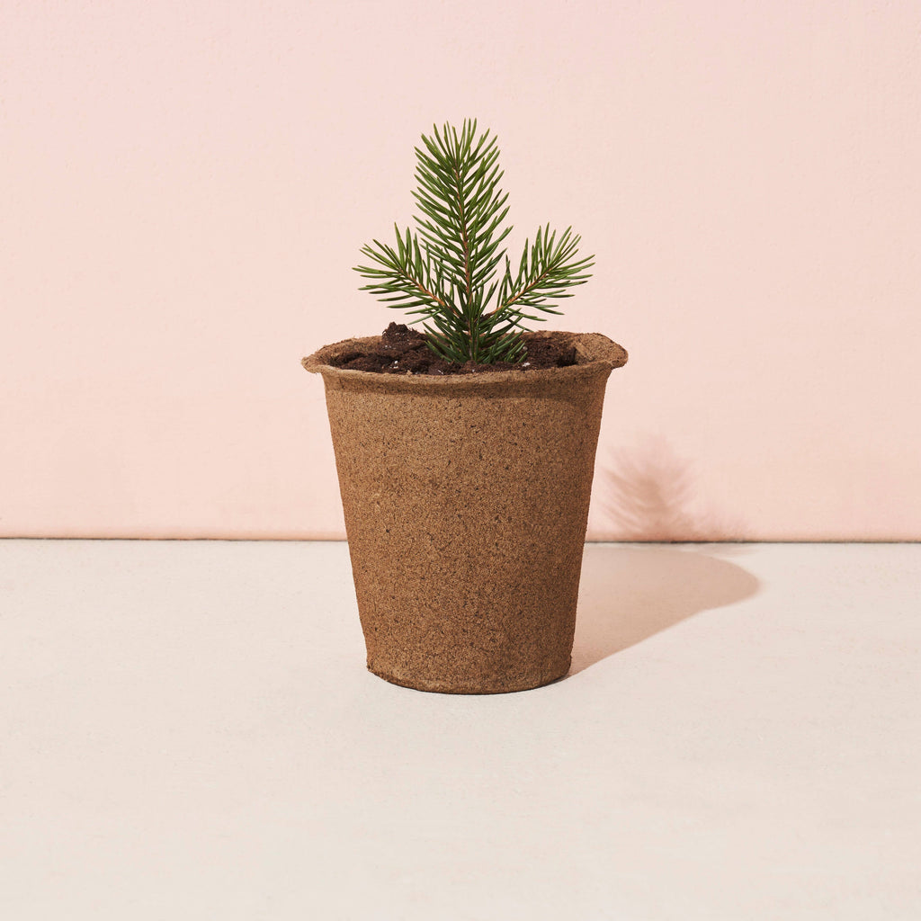 One-For One Tree Kit