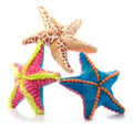 The Petting Zoo - 12" (26cm) Wild Onez Starfish Asst