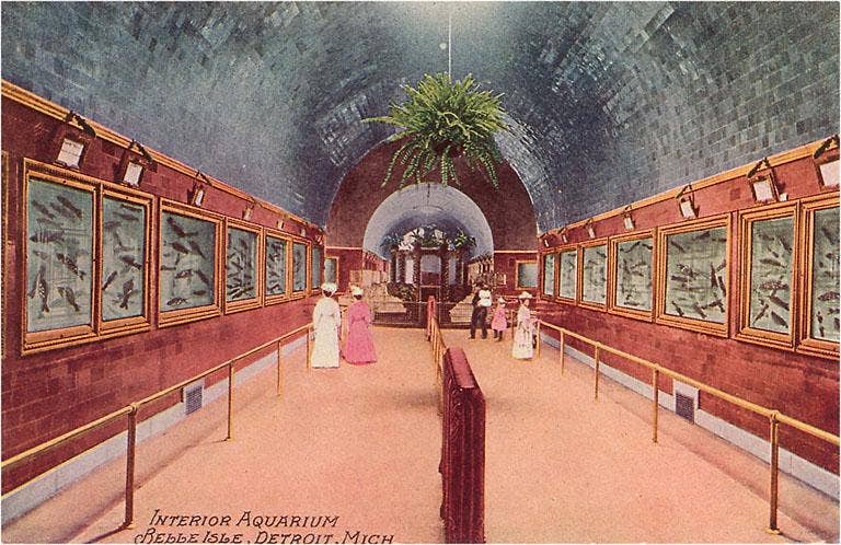 Vintage Postcard - Inside Aquarium