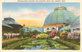 Vintage Magnet - Greenhouse with pond