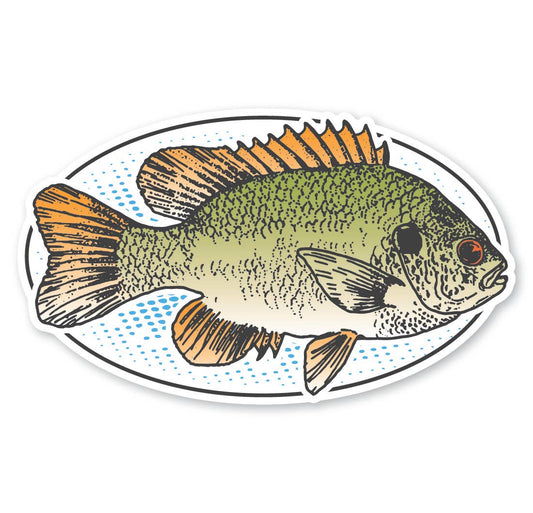 Magnet - Crappie Fish Oval  2: 5/16" Bamboo Wood Magnet